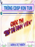 Rung chuong vang