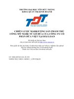 CHIẾN LƯỢC MARKETING SẢN PHẨM THỦ CÔNG MỸ NGHỆ TỪ GỖ DỪA CỦA CÔNG TY CỔPHẦN DỪA VIỆT TẠI ĐÀI LOAN