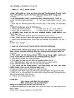 Trắc nghiệm văn học  11