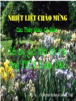 Tiet110 : Câu trần thuật đơn