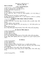 Nội dung ôn tập học kỳ II