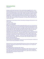 Luyện thi: Bên kia sông Đuống