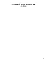 đề ôn tập số 03