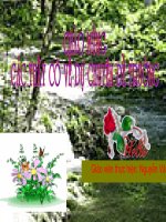 Bản vẽ kỹ thuật