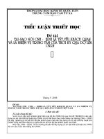 Tiểu luận triết học