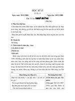 Giáo án Văn 8 HK II