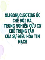 OLIGONUCLEOTIDE ỨC CHẾ ĐỐI MÃ TRONG NGHIÊN CỨU CƠ CHẾ TRUNG TÂM  CỦA SỰ ĐIỀU HÒA TIM MẠCH