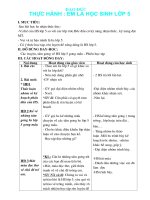 bài soạn tuần 2 lớp 5