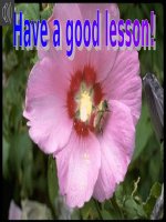 unit 16 leson 3 -Ngoc Hoa LTT-Hai Phong