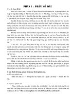 Sáng kiến kinh nghiệm Tập viết L2