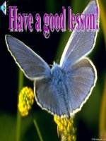 Unit 7: Lesson 2: A1,3-5/ p.73-75