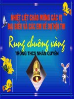 rung chuong vang