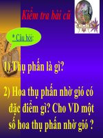 Bài 31.Thụ tinh kết quả và tạo hạt