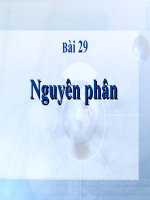 Bài 29 - SH 10 - Nguyên phân