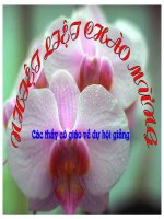 Độ dài đường tròn