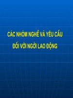Các nhóm nghề và yêu cầu đối với người lao động