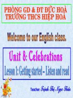 Unit 8: Celebrations