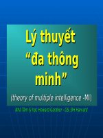 Ly thuyet Da thong minh