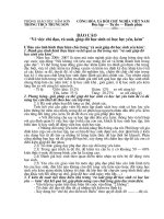 Kế hoạch phụ đạo HS yếu kém