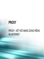 ban thich mang may tinh ko slide05