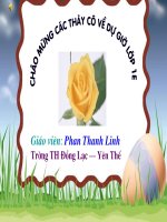 Tập đọc: Hoa Ngọc Lan