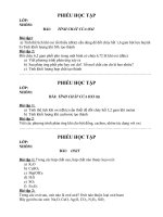 PHIEU HOC TAP(ca nam hoa 8)