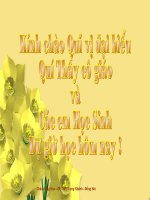 Thao tác lập luận bình luận