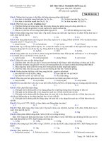 ĐM-THI THỬ HK1 NAM 08-09