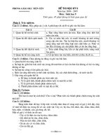 Đề thi học kỳ II (2006- 2007)