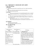 GIAO AN DS 10 NC HK I