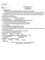 Đề kiểm tra Ngữ văn 7