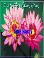 Bài 53: Tác động của con người đối với môi trường