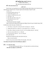 Đề  kiểm tra Ngữ Văn 11