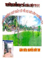 bài hát quê hương