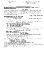 Đọc hiểu lớp 2 - Cuối kì 1