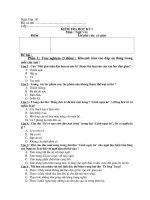 Kiểm tra HKI Văn 10