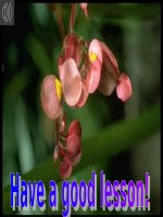 unit 16 leson 1 -Ngoc Hoa LTT-Hai Phong