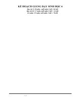 giao-an-sinh-6-tuan1-33.doc