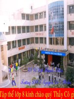 tin 8 tiet 15 bt(hay qua)