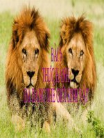 DA DANG SINH HOC ( 10A8)