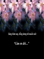 CÁM ƠN CUỘC ĐỜI