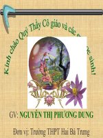 Bài 47: Tia hồng ngoại và tia tử ngoại