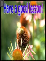 unit 16 leson 2 -Ngoc Hoa LTT-Hai Phong