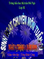 Copy of dien tich hinh thang