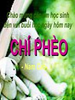 chí phèo