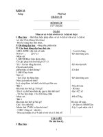 Giáo án lớp 3 - Tuần 23