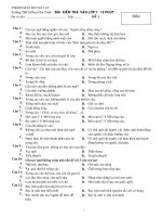 Đề kiểm tra Ngữ văn 7