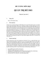 ebook.vcu de cuong quan tri rui ro