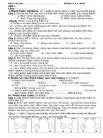 Kiểm tra Vật lý 7