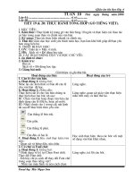 giao an xin day tai nhanh nao ba con